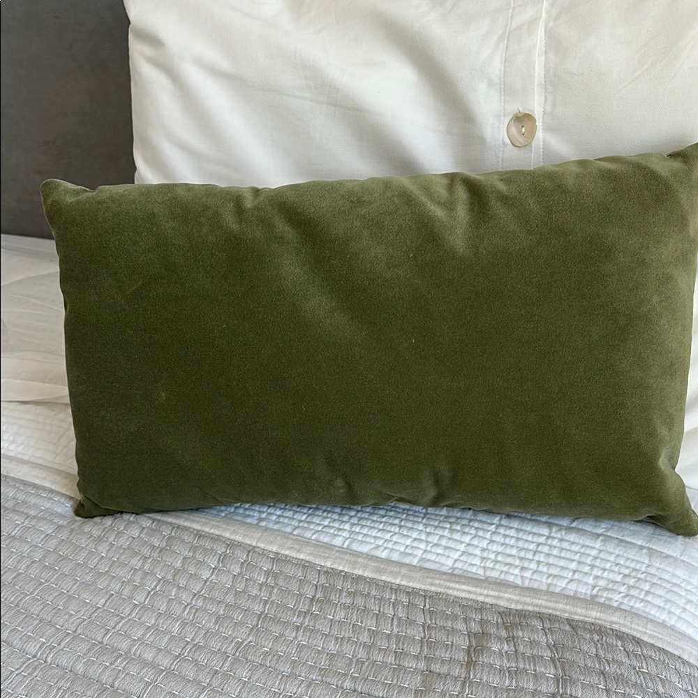 Olive Green Velvet Pillow